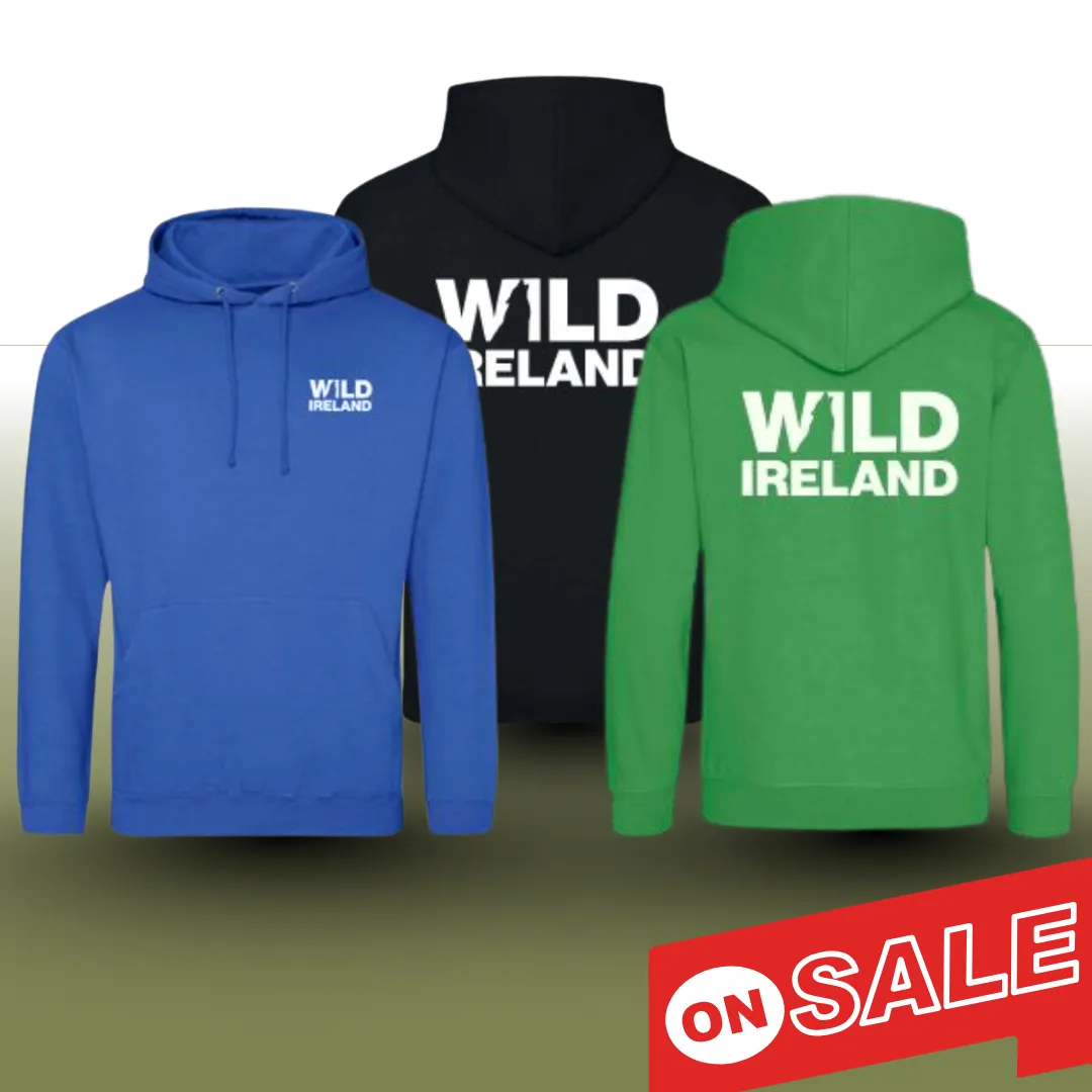 Wild Ireland branded kids hoodies